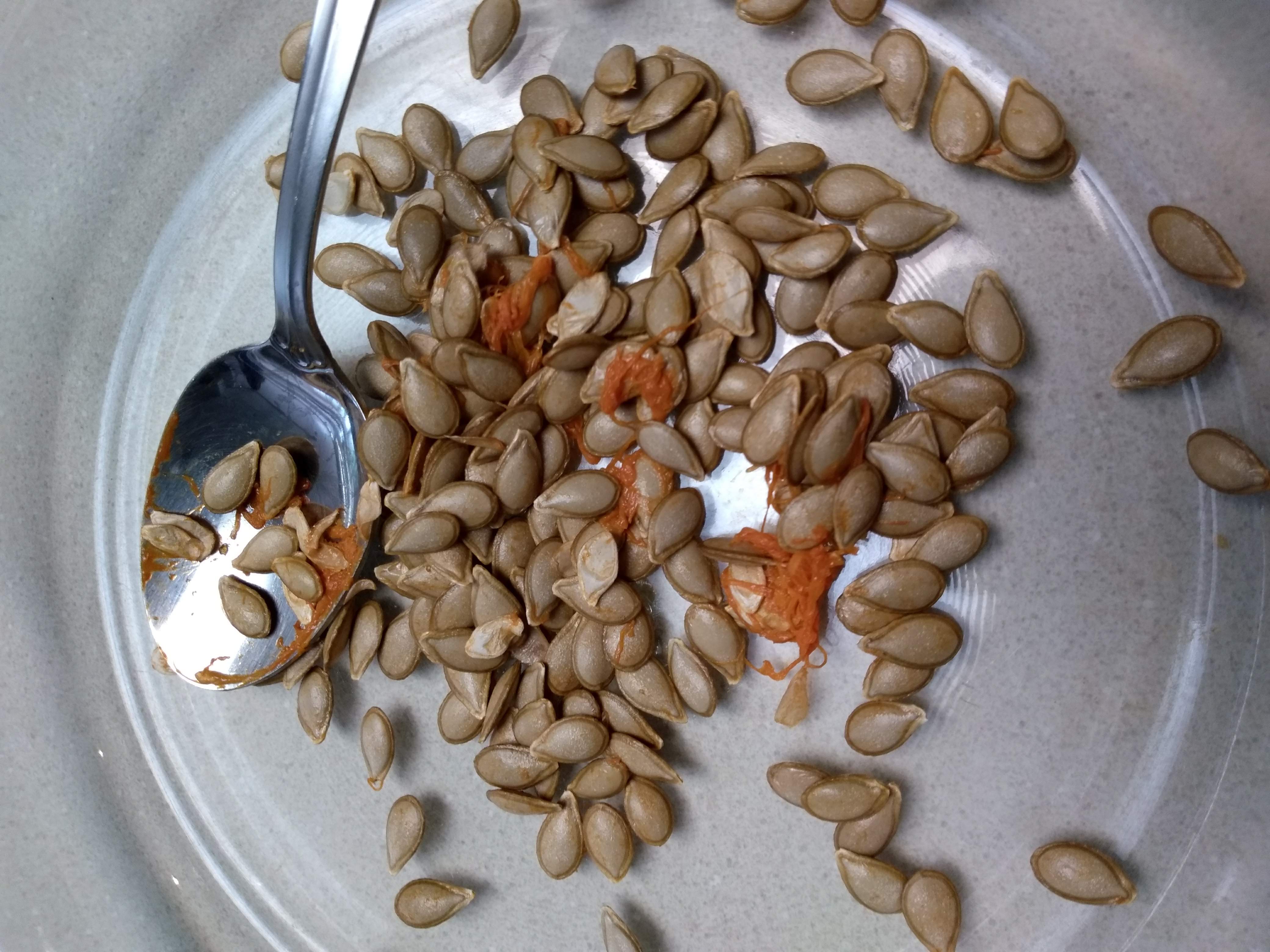 raw organic butternut squash seeds